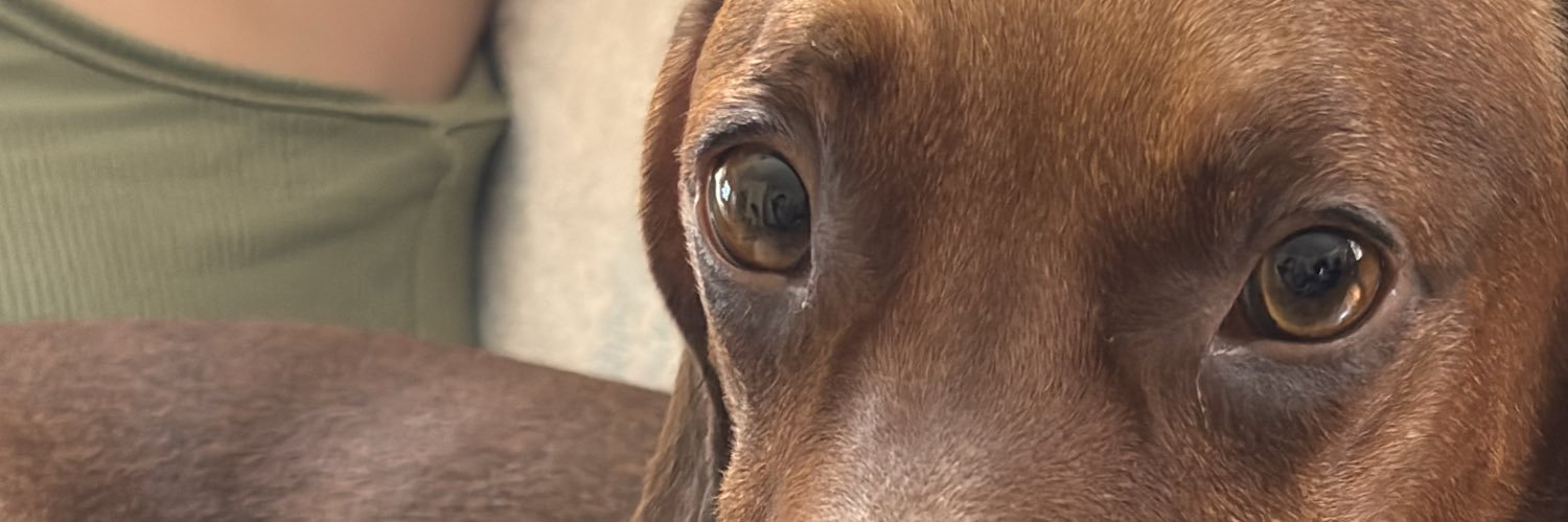 creeplos's profile banner image