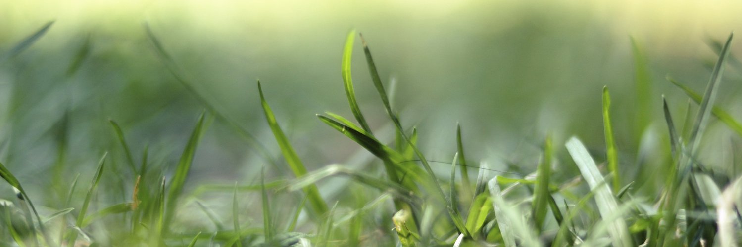 nf_dan's profile banner image