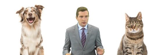 Lucas Geisler banner