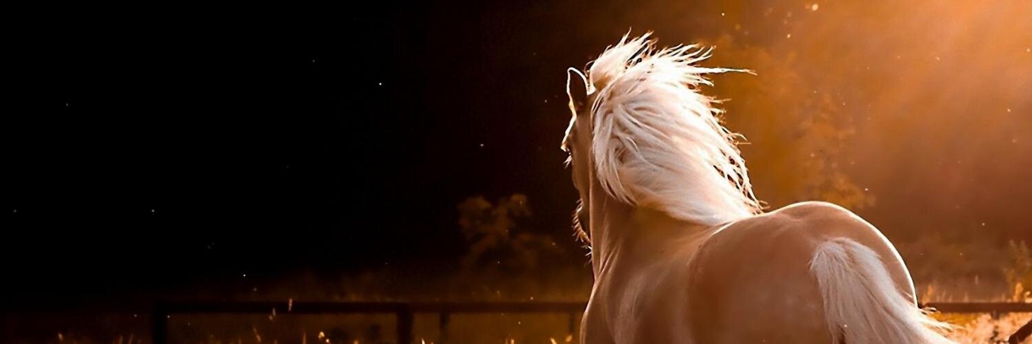 TimOlsonsHair's profile banner image