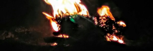 NiceToNicePimp Profile Banner