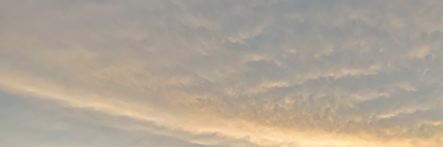 dinoaca86's profile banner image