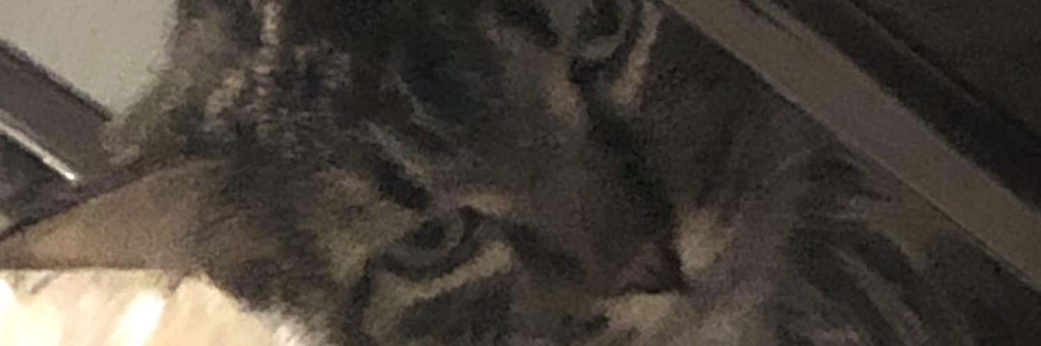 Shane_Miyake27's profile banner image