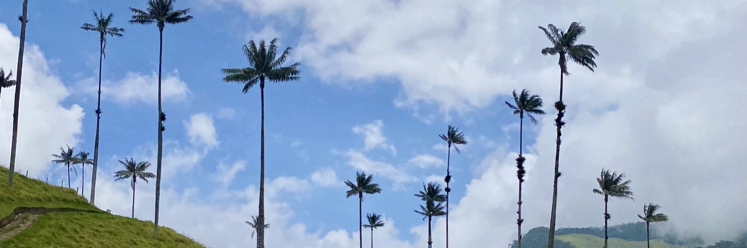 IvanGamboa95's profile banner image