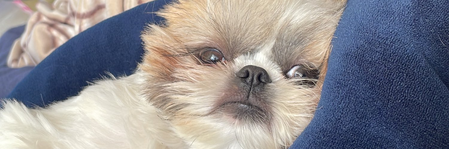 juliadbb's profile banner image