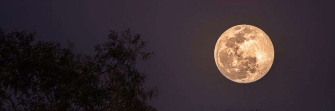 Jessidente's profile banner image