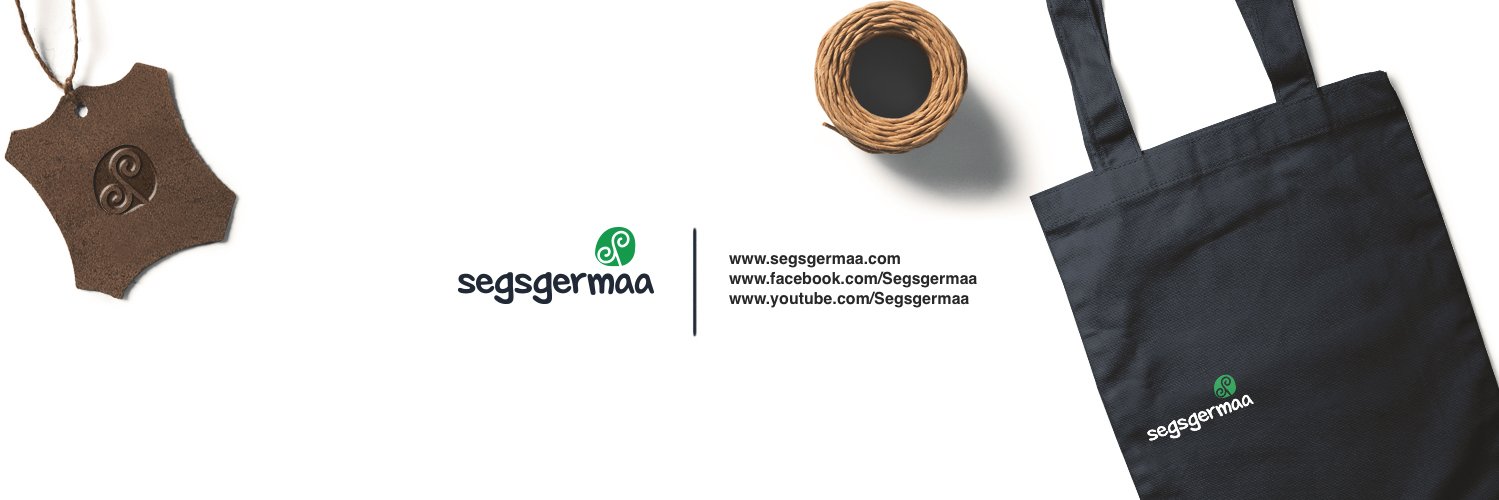 Segsgermaa's profile banner image