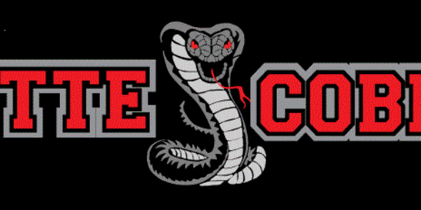 ButteCobras's profile banner image