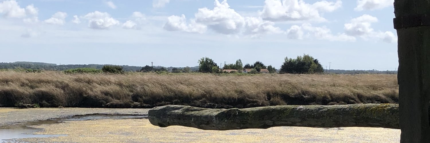 T. Gisbert de Callac banner