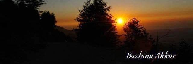 MisbahalAli's profile banner image