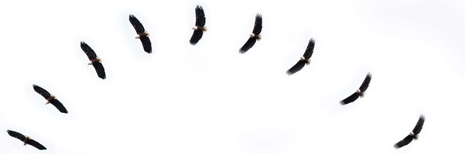 alistairdaynes's profile banner image