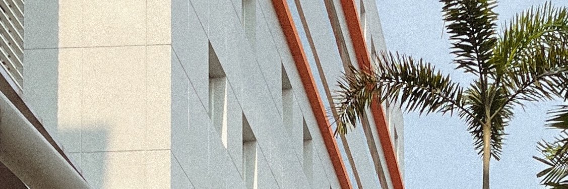 Alzu banner