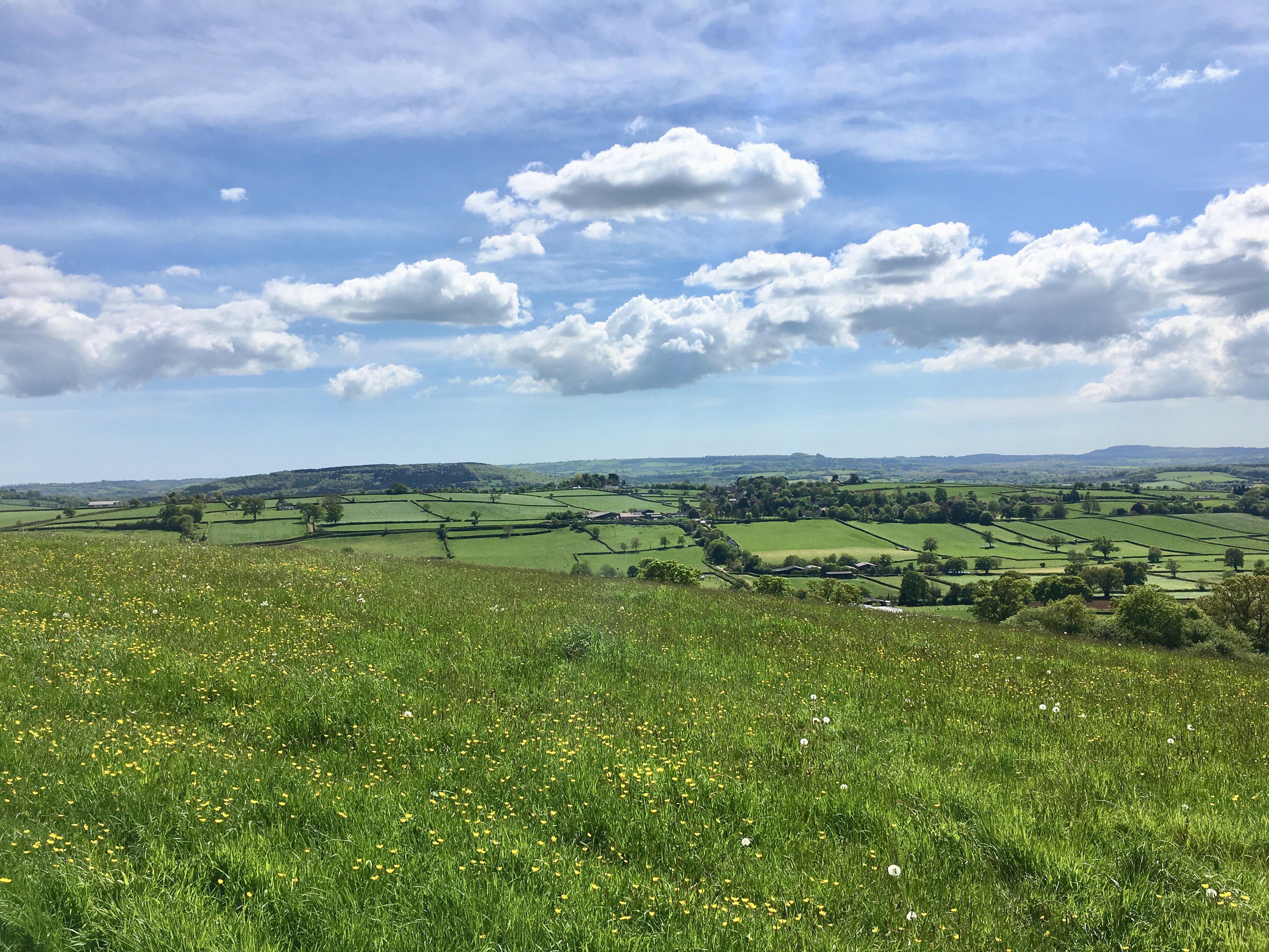 Graeme Patton banner