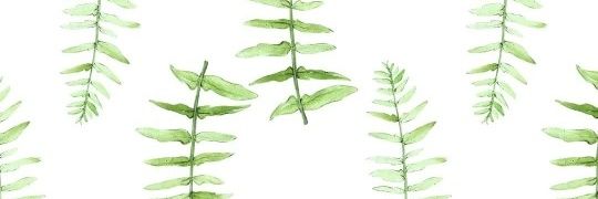 ☆明日子☆ banner