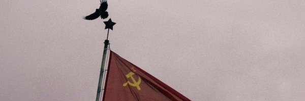 Inno100Trust Profile Banner