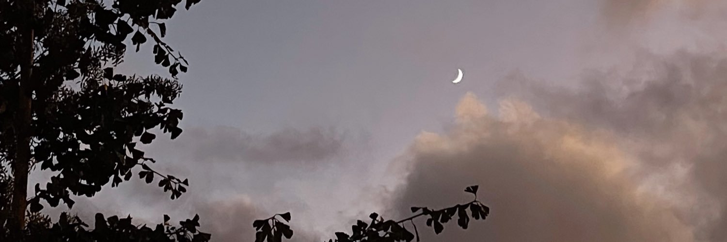 _filipalemos's profile banner image