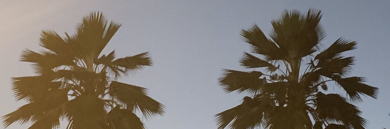 carlysamuelson's profile banner image