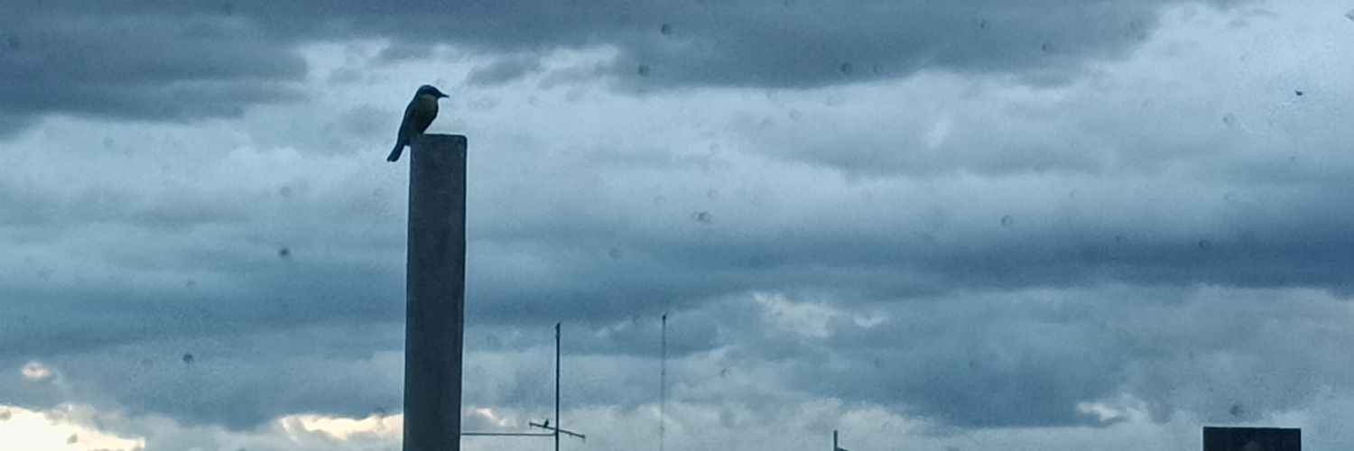 MrSebastianMora's profile banner image