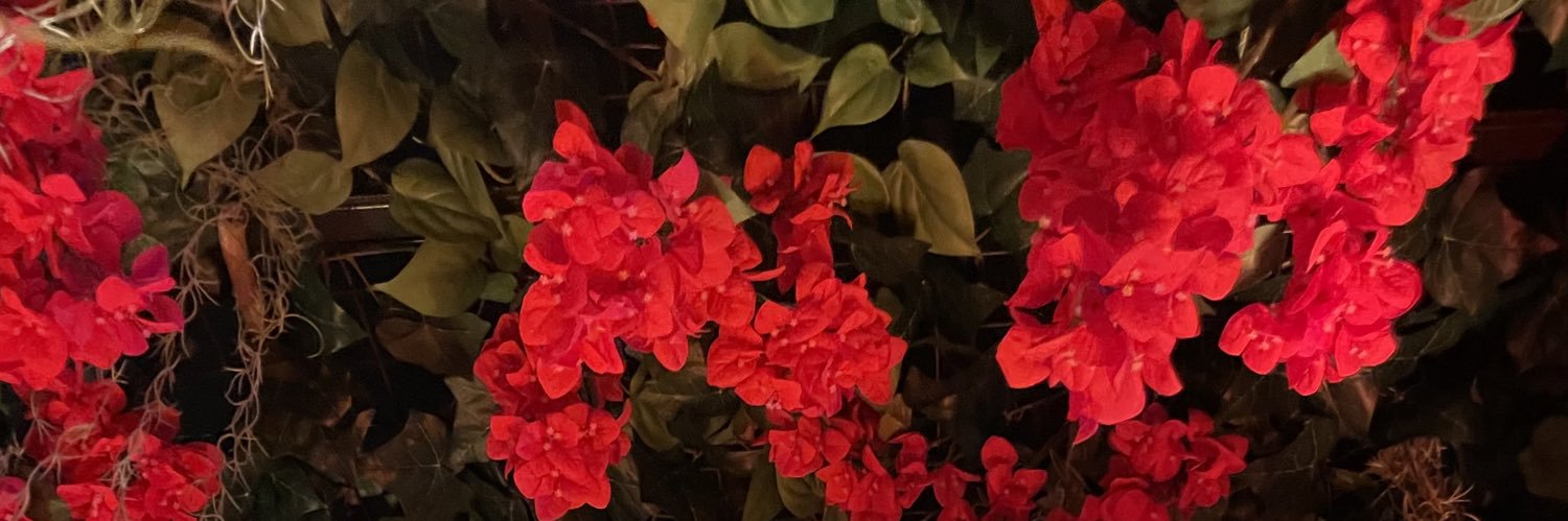 jenna_sprankle's profile banner image