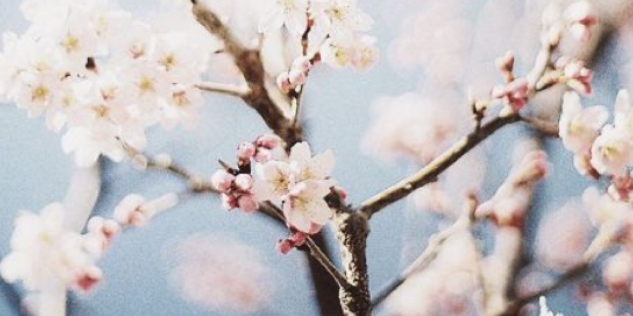mleanna2's profile banner image