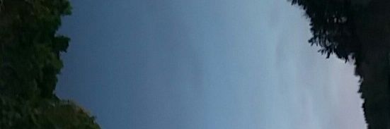Minotti's profile banner image
