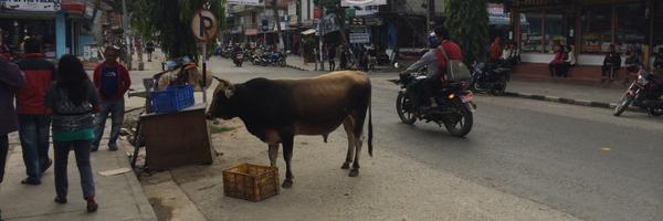 GuyWeaver Profile Banner