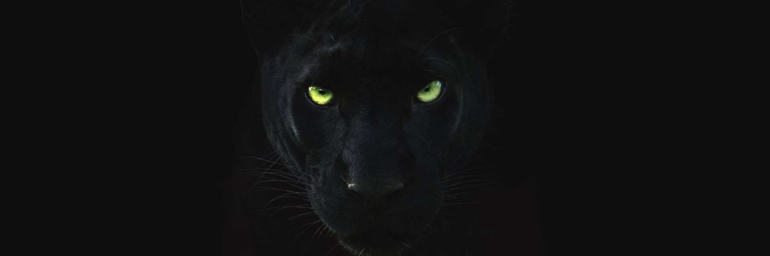 RobinGrondin's profile banner image