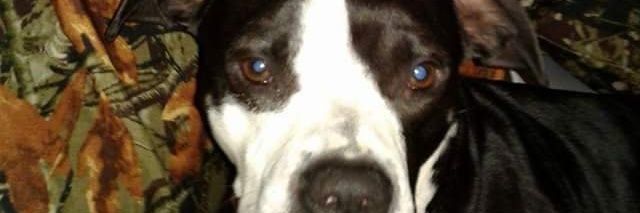 Peaches__Barbie🍑 banner