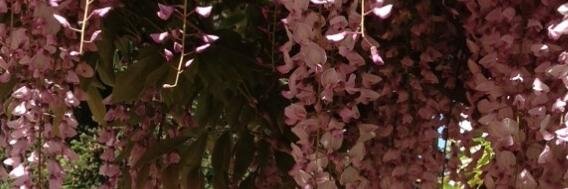 myholisticguru's profile banner image