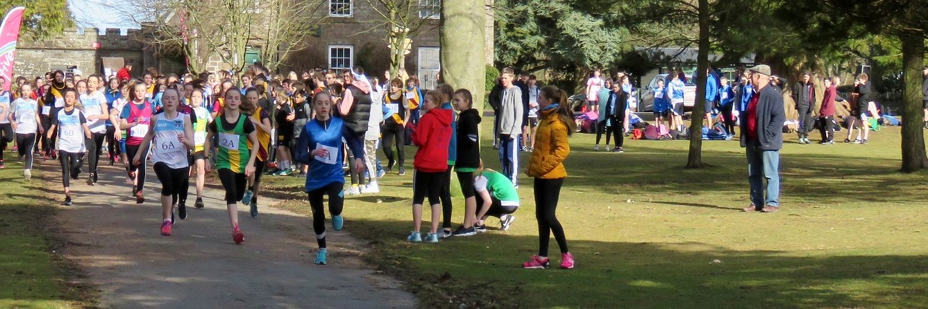 Angus Active Schools banner
