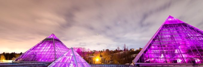 النادي السعودي في إدمنتون banner