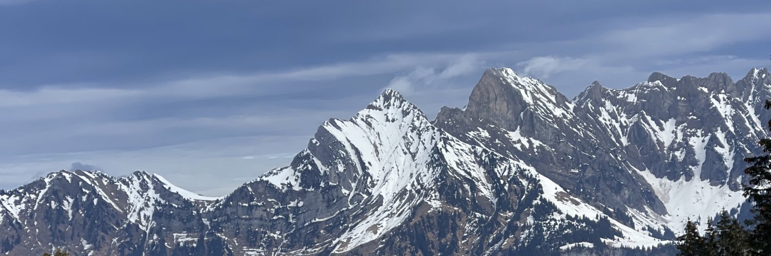 danicappena's profile banner image