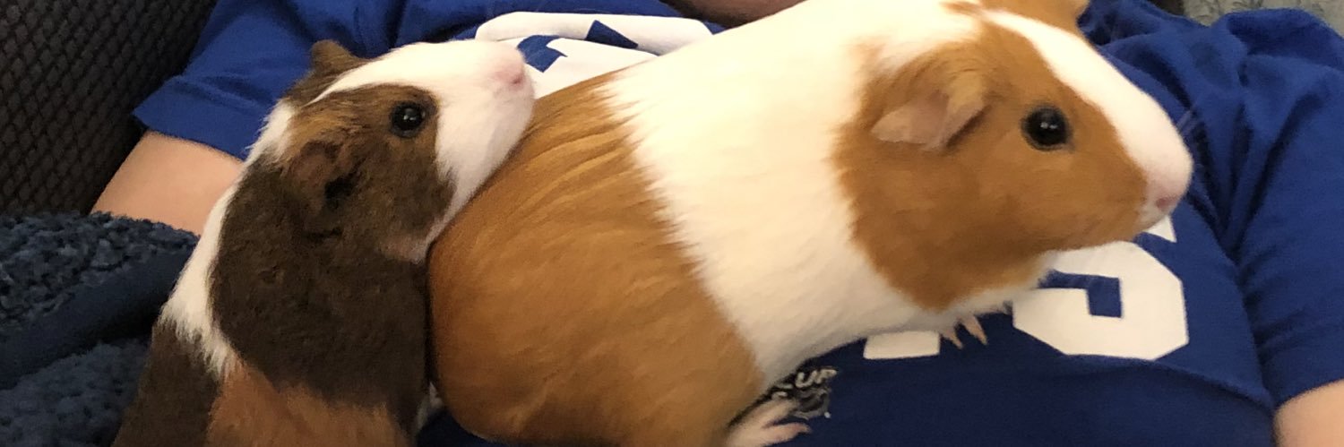 ayojonny_'s profile banner image