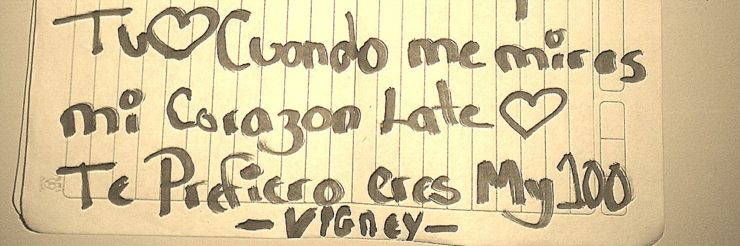 vigneyyepez's profile banner image