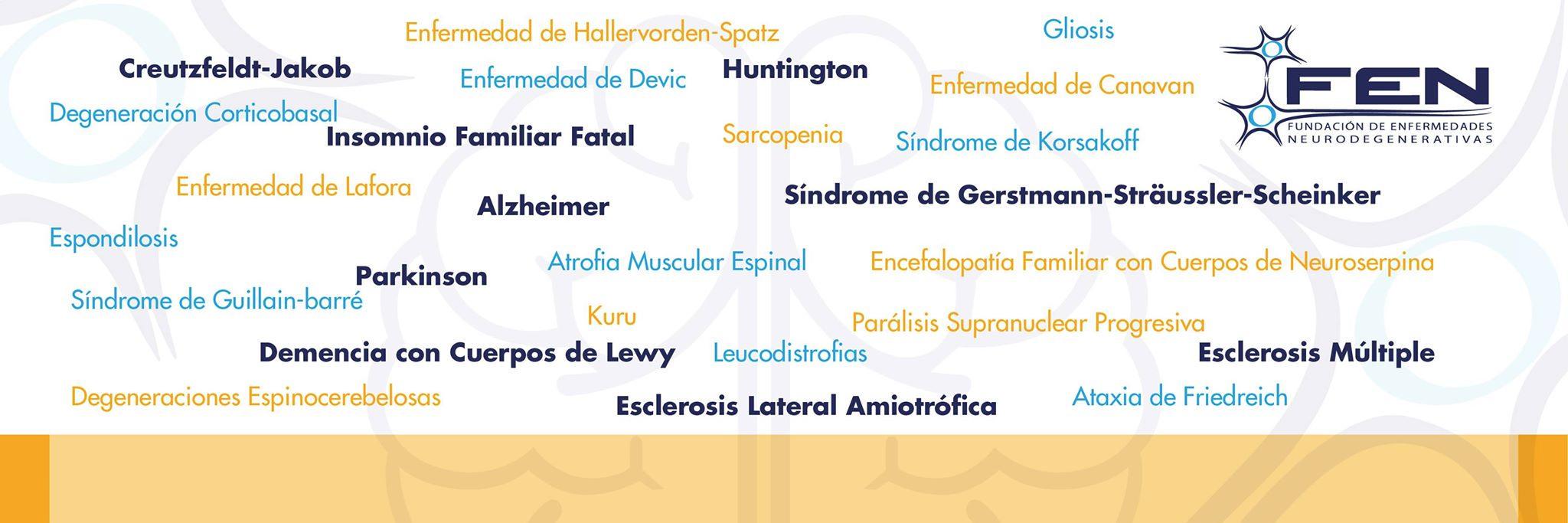 FundacionFEN's profile banner image