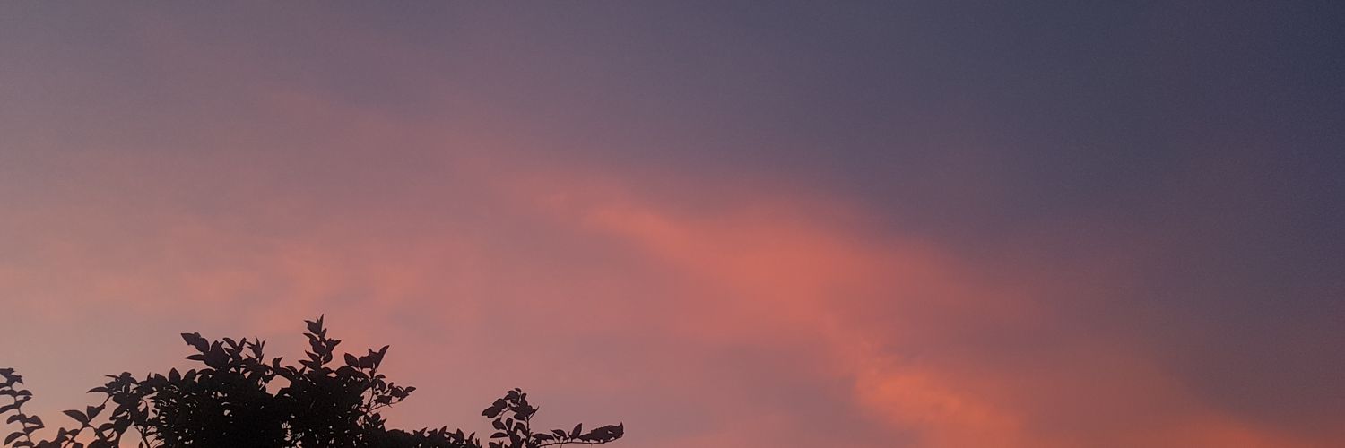 lilieth19m's profile banner image