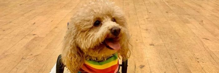 Simon☜ ( ʘᴗʘ☜) banner