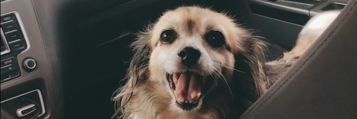 belubrizuela3's profile banner image