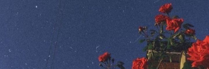 lesb_bratty's profile banner image