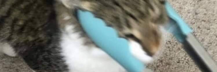 XenoBB's profile banner image