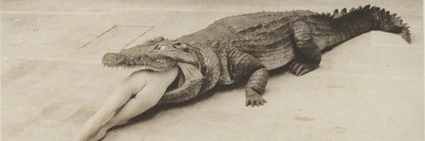 jeremylybarger Profile Banner