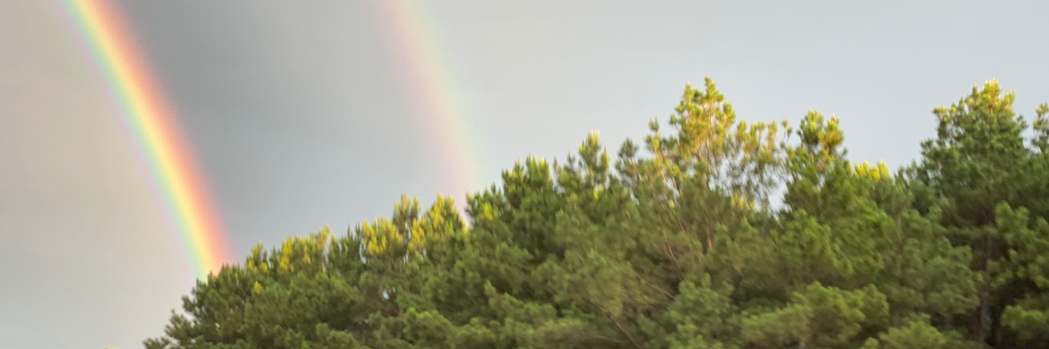 treffin's profile banner image