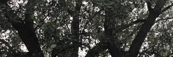 johnfaier Profile Banner