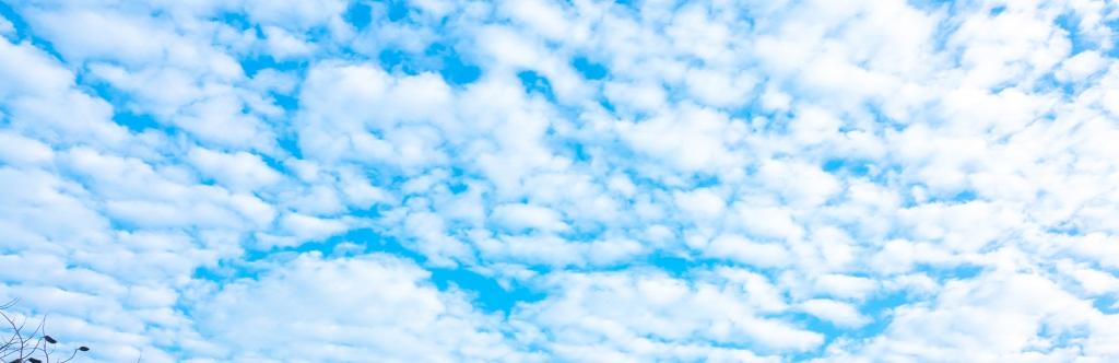 I'm on mastodon now🌈✈️☮️🌻 banner