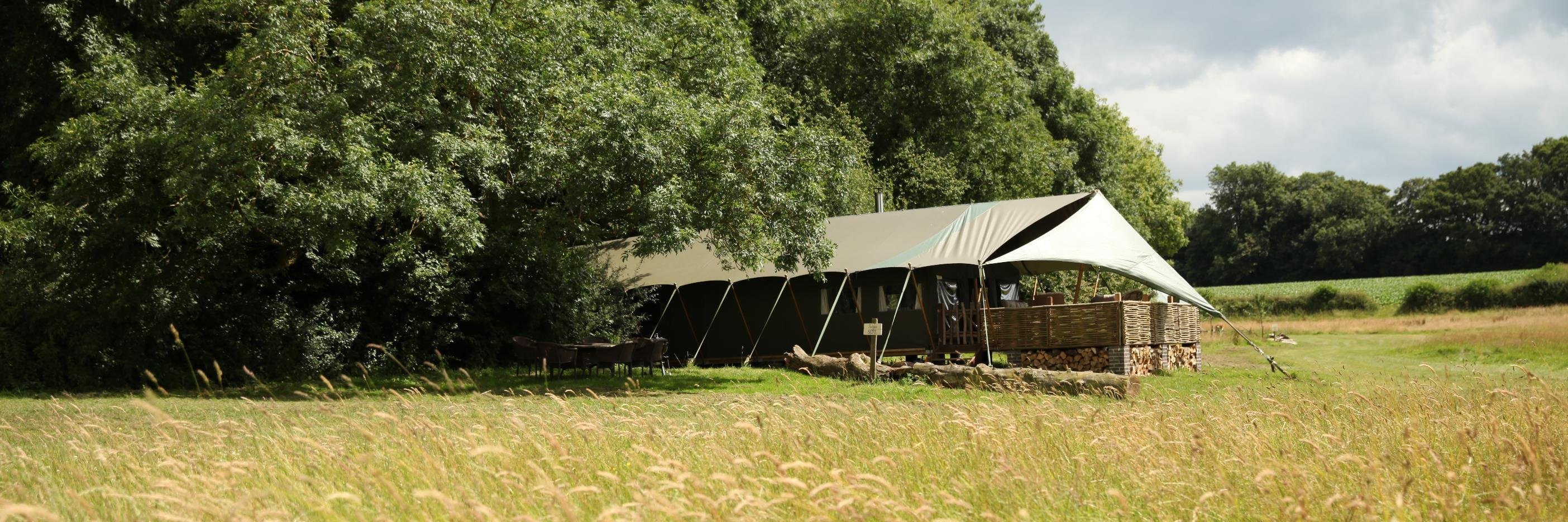 TheDandelionHideaway banner