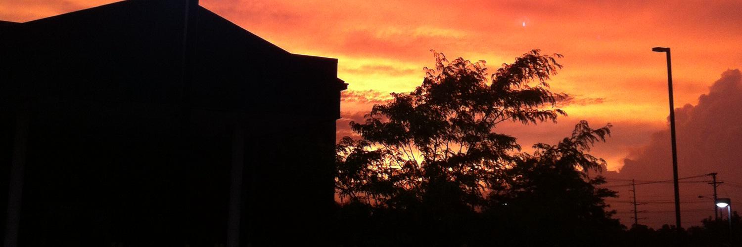 avery1243's profile banner image
