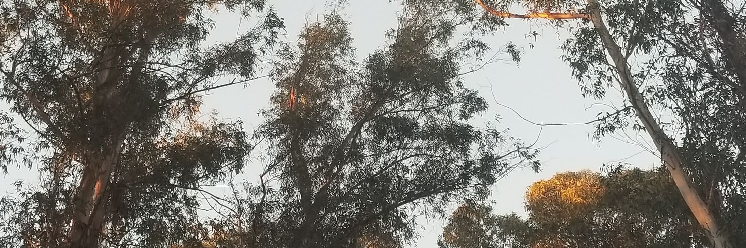 Dr. Phd ☔️ banner