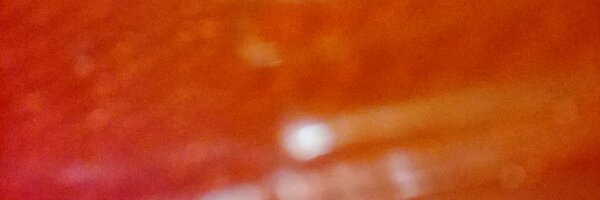 RestoDeborah Profile Banner