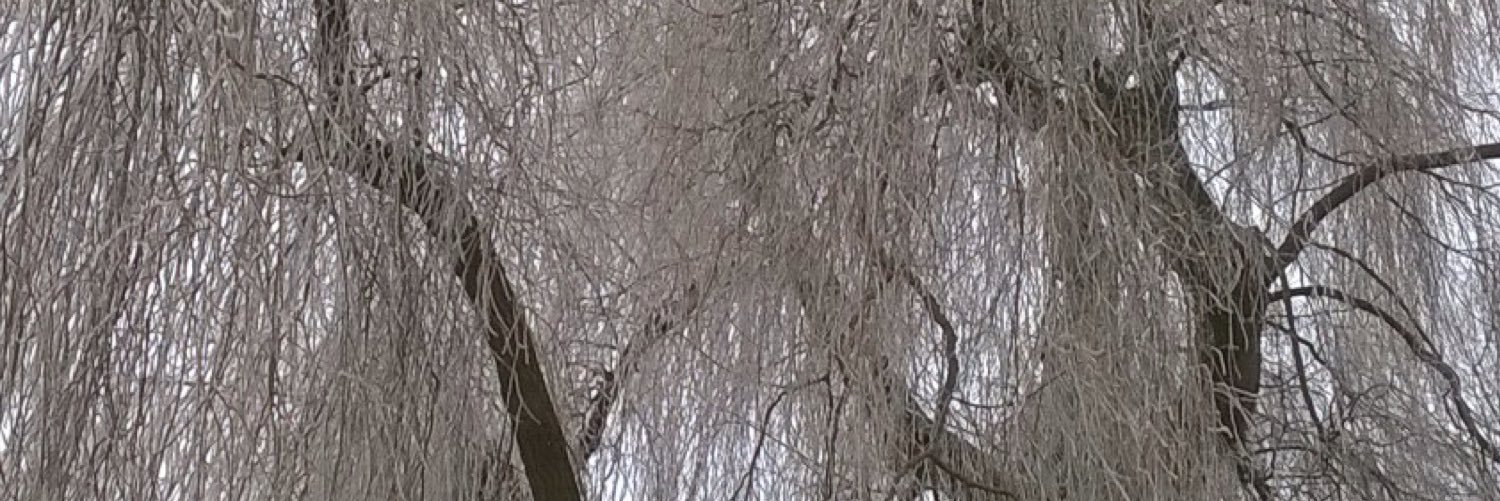 Smanski63's profile banner image