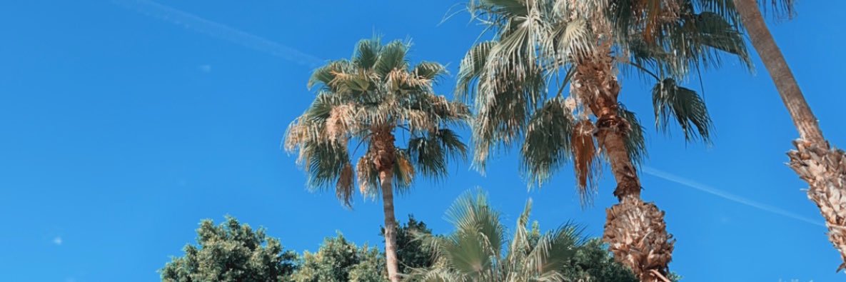 winterchavis's profile banner image